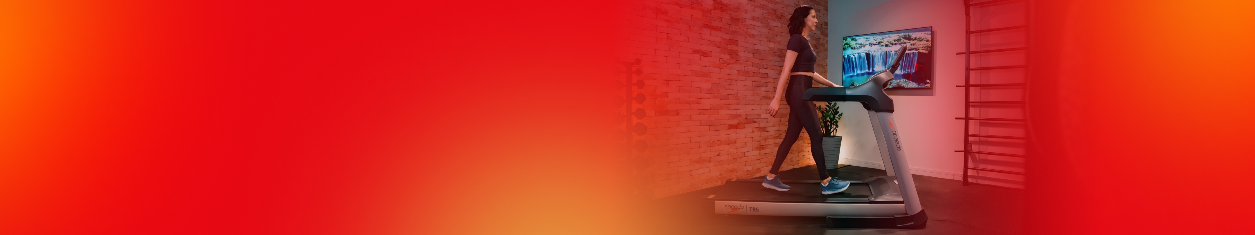 Banner ilustrativo